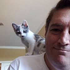 Like gray owl, it has some green undertones, and can in fact actually appear aqua in certain lighting situations. Mike Hommel Hamumu Twitter