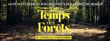 Found the first hour totally engrossing; Reseau Pour Les Alternatives Forestieres Pour Une Foret Vivante Et Habitee