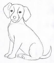 Corso Di Grafica E Disegno Per Imparare A Disegnare Come Disegnare Un Cane Disegni Di Cane Disegno Di Animali Disegni Di Animali Carini