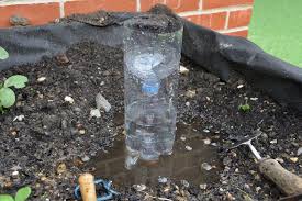 Time to bring it back! Weather Science How To Make A Rain Gauge