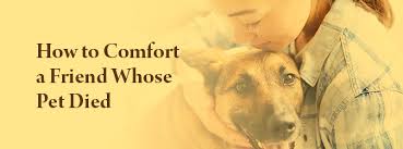 There are many special poems that are meant to uplift and console pet owners. How To Comfort A Friend Whose Pet Died What You Can Do Say