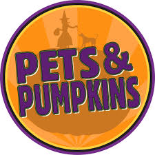 Marketplace is a convenient destination on facebook to discover, buy and sell items with people in your community. All Pet Supplies Home Facebook