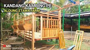 Persiapan lokasi ternak dan kandang. Pembuatan Kandang Kambing Pe Lengkap Dengan Ukuranya Youtube