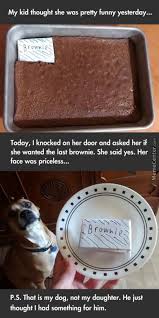 Did You Know That I Got Kicked Out Of The Boy Scouts For Eating Brownies Really Funny Funny Pictures Funny