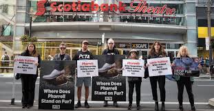 Image result for peta protests