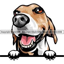 Pin On All Breed Pedigree