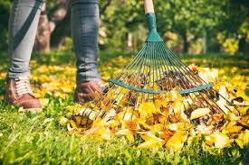 Local yard maintenance in oakhurst, ca. Yard Clean Up Cost Landscape Cleanup Cost