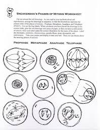 Check spelling or type a new query. 110 Biology Ideas Biology Teaching Science Teaching Biology