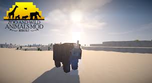 Explore the beautiful biomes, discover and catch new animals and species, and create the zoo of your dreams! Zoo And Wild Animals Mod Rebuilt Wip Mods Minecraft Mods Mapping And Modding Java Edition Minecraft Forum Minecraft Forum