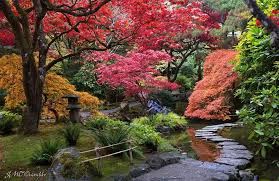 Over 71,842 japanese garden pictures to choose from, with no signup needed. Butchart Gardens Beautiful Japanese Garden Photo By John Michael Thorne Japanese Garden Butchart Gardens Buchart Gardens