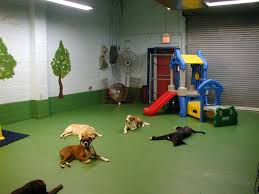 Desk clerk have me the wrong time for the sabino canyon tram so arrived at 8:00 am one hour earlier and so had a one hour wait until 9:00 when first tram ride available and in the heat. Spring Has Sprung In My Basement Dog Daycare Dog Play Room Dog Playground
