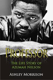 The Professor eBook by Ashley Morrison