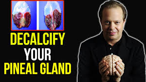 5 transformative methods to activate your pineal gland and tap into your superhuman potential. Decalcify Your Pineal Gland Joe Dispenza Youtube