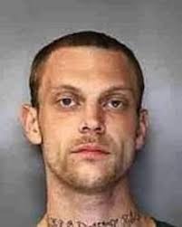 DeWitt police: Man steals car