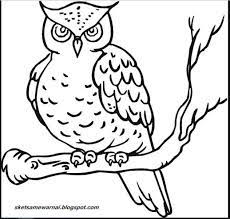 Selain burung hantu, jenis burung yang cukup populer terutama di indonesia adalah burung garuda. Sketsa Burung Hantu Radea