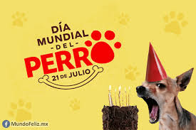 ¿quién me dice dónde encontrar fícilmente online, en forma gratuita y de modo rípido el día en que se celebra a un beato, un santo o bien un mírtir de. Perritos A Fiestear 21 De Julio Dia Mundial Del Perro Mundo Feliz