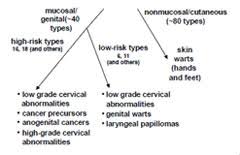 pinkbook hpv epidemiology of vaccine preventable