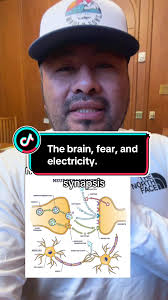 StressRelief #BrainHealth #MentalWellness #MindMatters #StressManagem...