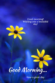 Arrow_back back to main good morning quotes, wishes, greetings, whatsapp messages n images find good morning whatsapp messages, quotes, sms wishes here. 55 Buenos Dias Ideas Good Morning Greetings Good Morning Quotes Good Morning Gif