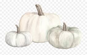 Find the perfect white pumpkin background stock photos and editorial news pictures from getty browse 2,148 white pumpkin background stock photos and images available, or start a new search. Watercolor White Pumpkins Fall Autumn Png Transparent Background White Pumpkin Emoji Emoji Pumpkins Free Transparent Emoji Emojipng Com