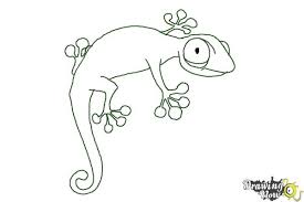 We did not find results for: Easy Lizard Head Drawing Drawing Wallpaper