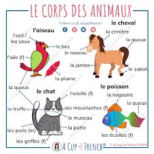 Check spelling or type a new query. Le Corps Livres En Francais Art Et Creation