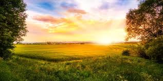The stars in the sky begin to grow dim. 20 Sunrise Quotes Sayings About The Start Of A New Day