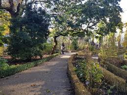 Tercih edilen oteller ve tatil köyleri. Hortus Botanicus Amsterdam 2020 All You Need To Know Before You Go With Photos Tripadvisor