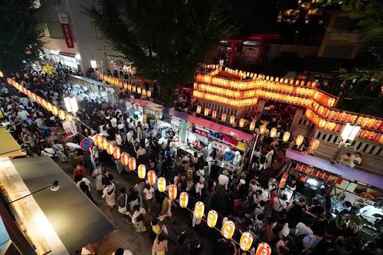 神楽坂まつりのほおずき市