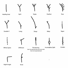 Pin By Kinsley Courtney On Natural Hair Natural Hair Styles Hair Breakage Hair Growth Charts