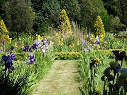 Les élèves de l'école suzanne lacore à st jacques de la lande sont à la découverte des jardins de brocéliande. Jardin Remarquable Des Iris Photo De Jardins De Broceliande Breal Sous Montfort Tripadvisor