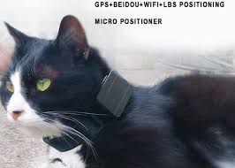 Other reviewers and pet owners gave it a big. Best Cat Gps Tracker Uk Easy To Use Collar Devices Top 10
