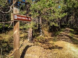 Chystáš se projet lotyšsko autem? Pine Nature Trail In Kolka Lotyssko Recenze Tripadvisor