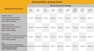 How To Choose A Dehumidifier For Crawlspace Basement