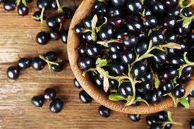 Only the best fruits are good enough for its preserves. Is Blackcurrant A Jamun Iupilon