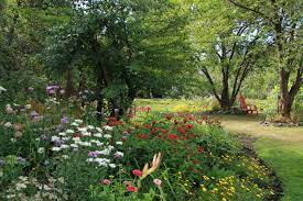 The star of my garden. How To Create A Dream Garden