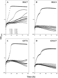 What is it really like to be a fly on the wall, or to have a bug's eye view? Development And Application Of Aerobic Chemically Defined Media For Dysgonomonas Biorxiv