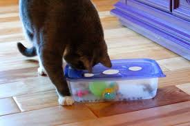 Des Jouets Pour Chat A Fabriquer Soi Meme Jouet Pour Chat Diy Jouet Pour Chat Jeux Pour Chat