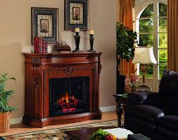 Electric fireplaces are a great solution in places where is is impractical or impossible to install other types of fireplaces. Troubleshooting An Electric Fireplace Making Funny Noises