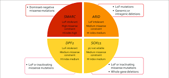 Concept Chart Of Ssridd Genes And Their Mutational