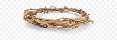 Picture Crown Of Thorns Png Download Free Transparent Png Images Pngaaa Com You can download and print the best transparent crown of thorns hd png collection for free. picture crown of thorns png download