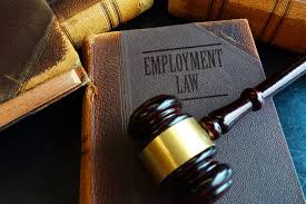 Understanding the Role of an Employment Lawyer in Los Angeles - OCNJ Daily