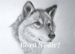 Olum Haric Her Turlu Hastaliga Her Turlu Belalara Musibetlere Karsi Okunacak Dua Her Turlu Belalardan Korunmak Icin Cizim Karakalem Cizimler Hayvan Eskizleri