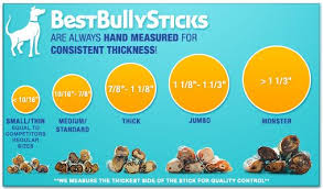 12 Inch Jumbo Odor Free Bully Sticks Best Bully Sticks Bully Sticks Natural Dog Chews Natural Dog Treats
