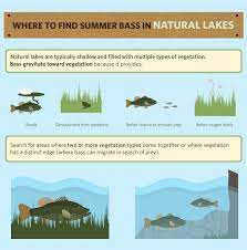 Pin On Fishing Advice