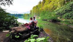 Bir peyzaj firması lisansı için gereklilikleri yerine getirmek için gerekli olan tahvil, bir kefalet sigorta şirketinden teminat satmaya yetkili herhangi bir sigorta kuruluşundan satın alınabilir. Artvin De Gezilecek Yerler Biz Evde Yokuz