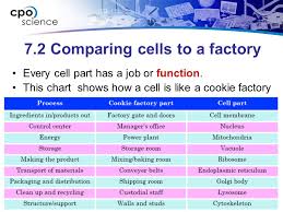 Cell Biology Cell Biology Chapter Seven Cell Structure And