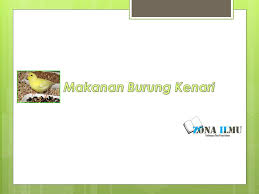 We did not find results for: 25 Rekomendari Makanan Burung Kenari Agar Gacor Lengkap