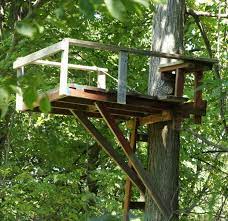 It is highly recommended you do not build one in a tree with wood, nails or screws the wind moves the trees loosens the nails and creates a very dangerouse situation. Tree Stand Tree Stand Hunting Homemade Tree Stand Tree House Diy
