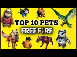Garena free fire es un juego mobile disponible para android y ios. 5 Best Free Fire Pets In January 2021